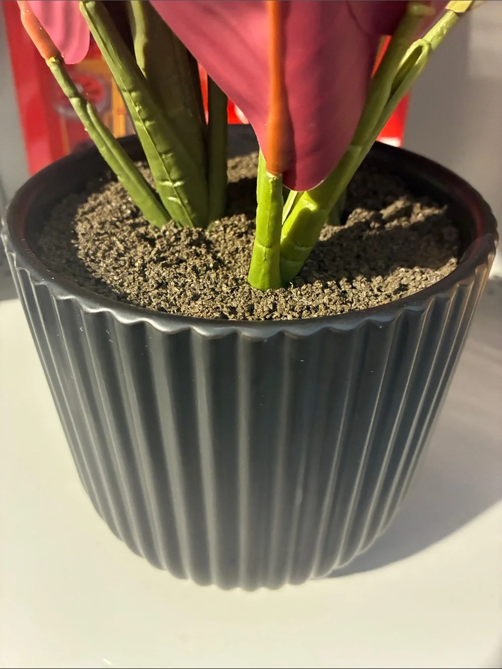 Artificial Red Calathea Plant in Black Ribbed Pot